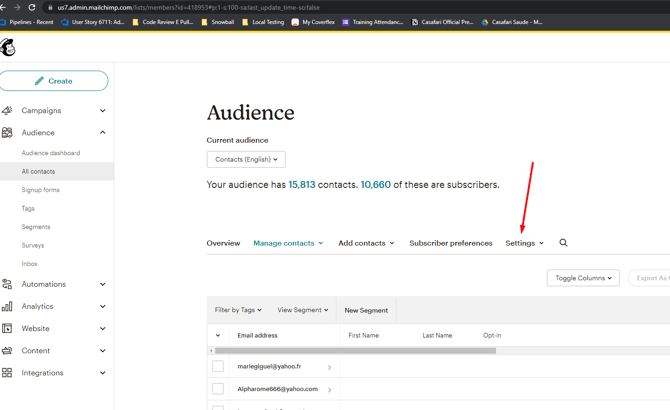Mailchimp2
