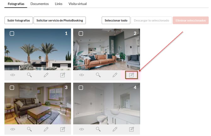 editor de fotografias